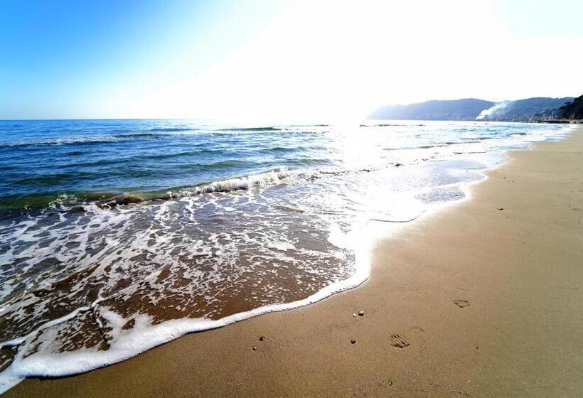 Bed & Breakfast My Home   Alassio