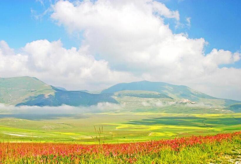 פנסיון Villa Delle Rose   Hotel Paradiso