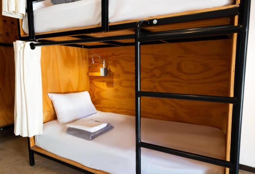 فندق صغير Mayan Monkey Los Cabos   Adults Only