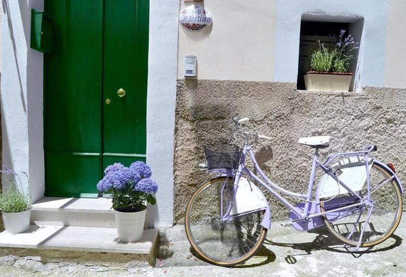 B&b Il Lentisco