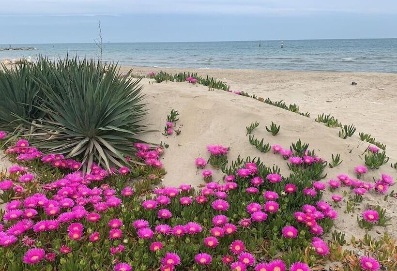 B&b Palazzo Mestichelli Boutique Palace