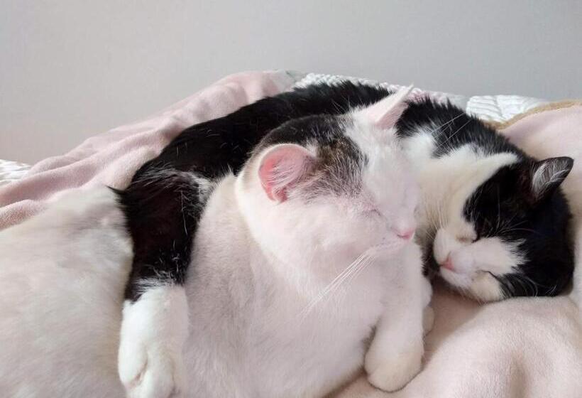 B&b Palazzo Mestichelli Boutique Palace