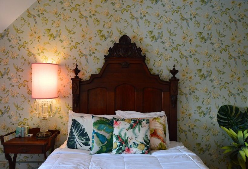 住宿加早餐 300 Clifton