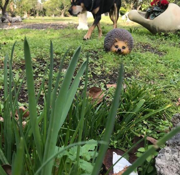 مبيت وإفطار Palazzo D'amaro Historical Residence