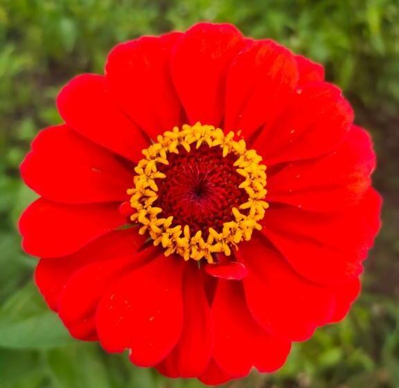 تختخواب و صبحانه Snow View Guest House