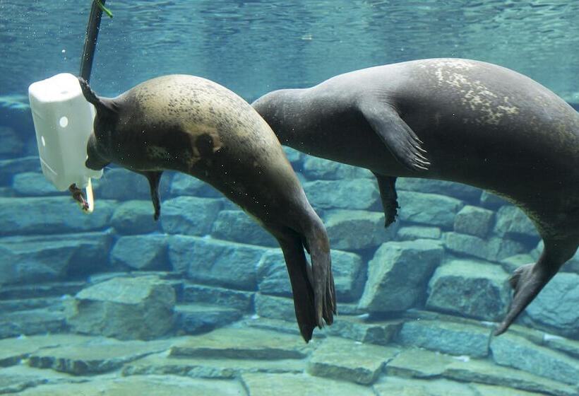 Отель Ginkgo Spa Biloba