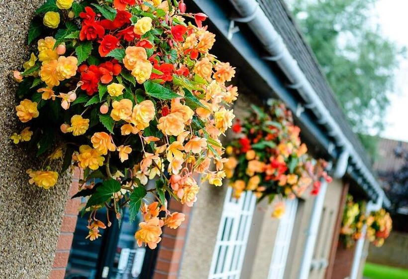 Отель Hill Park