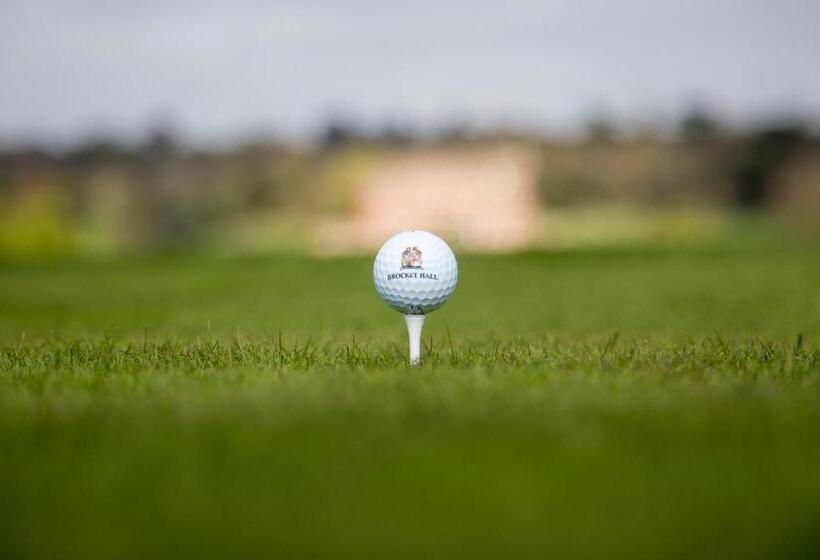 فندق Melbourne Lodge