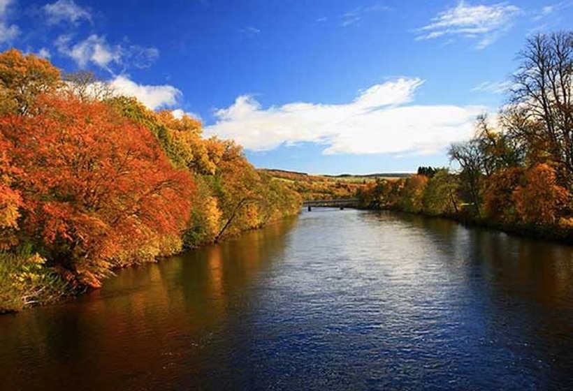 The Rowans Bed & Breakfast