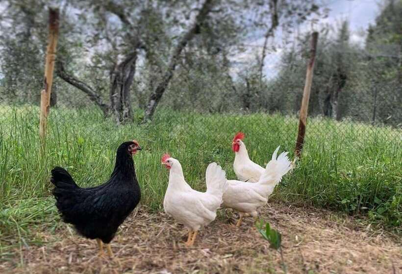 בית מלון כפרי Agriturismo L'antica Fornace