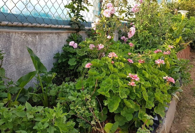 بنسيون Chandrasobana