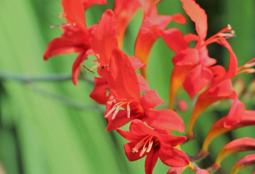 펜션 La Maison Jaune D Eastman