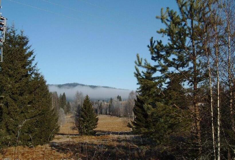 Bauernhofpension Runenhof