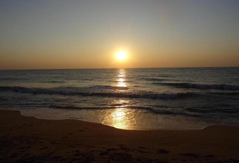 مبيت وإفطار Amssler Beach Stay