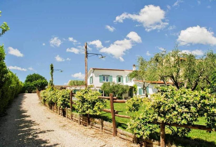 ベッドアンドブレックファースト La Piccola Fattoria