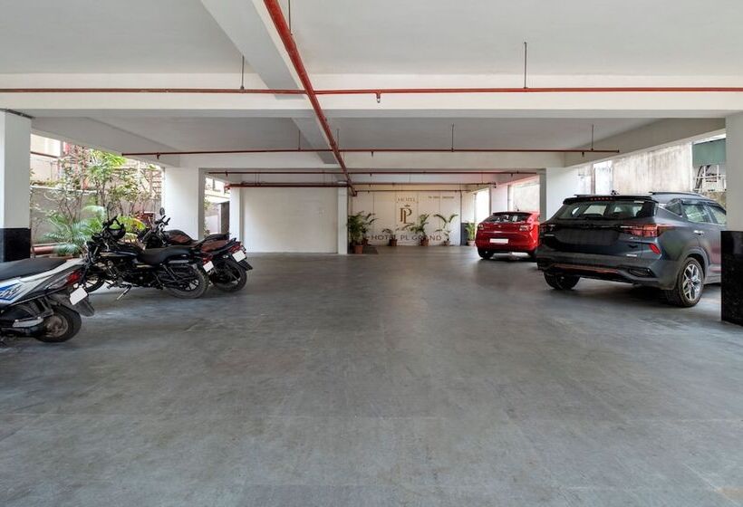 Отель Treebo Pl Grand, Vishakapatnam