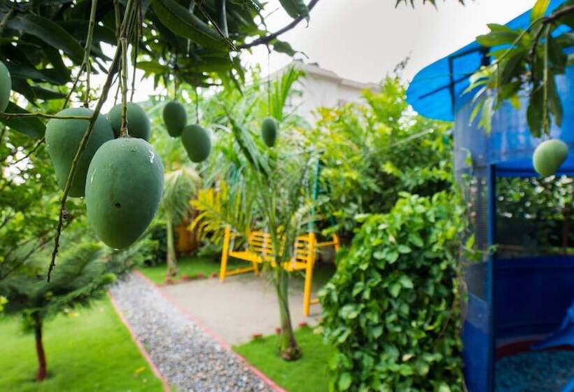 Majatalo Galaxy Guest House