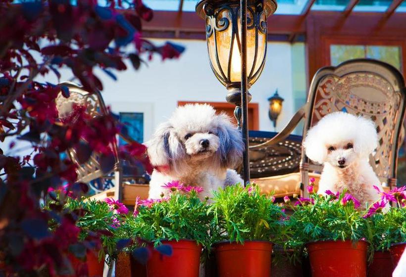 بنسيون Hangzhou Youran Villa