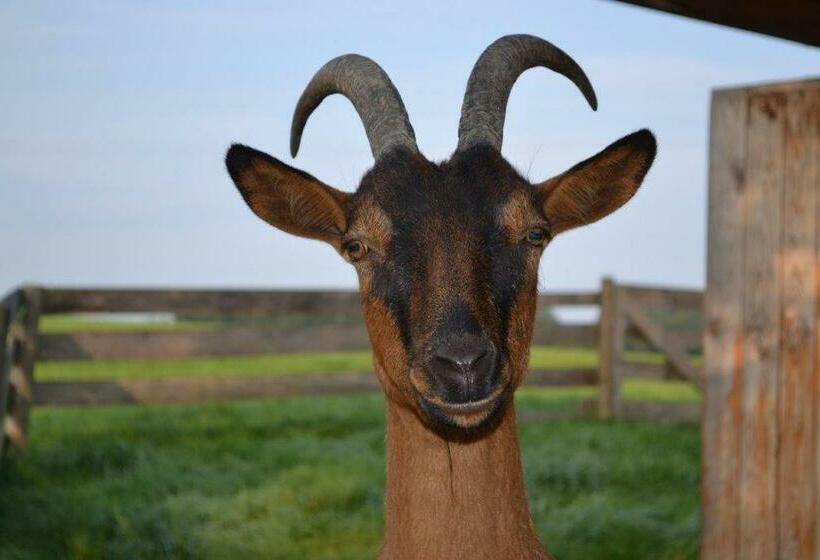 호텔 Paulhof Am Chiemsee