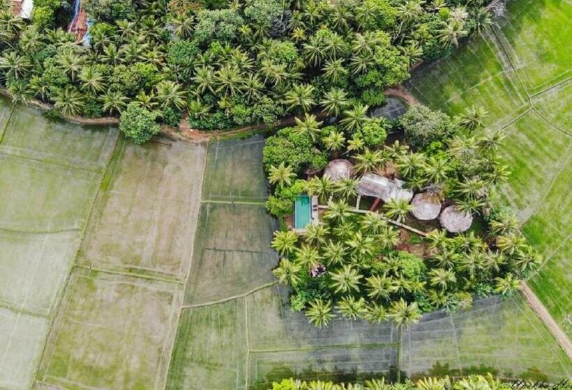 Отель Rice Rice Villas