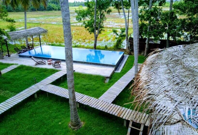 Отель Rice Rice Villas