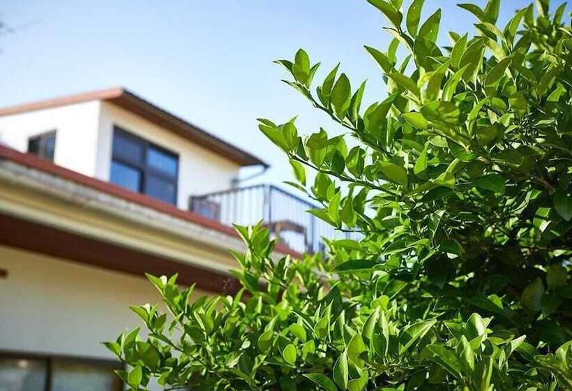 פנסיון Guest House Umusan