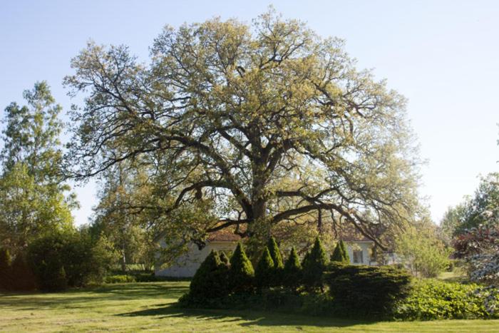 Pensionat Klåvasten