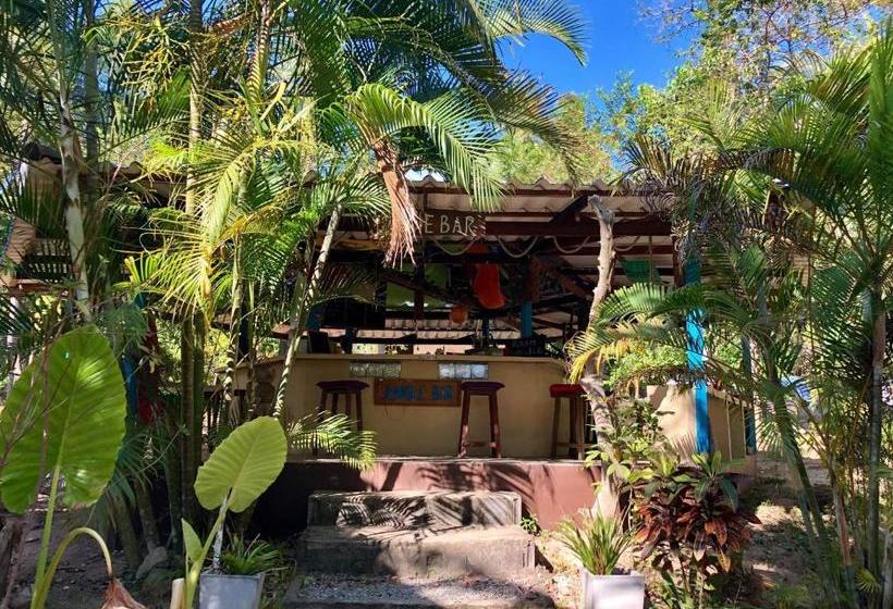 ユースホステル The Wild Side