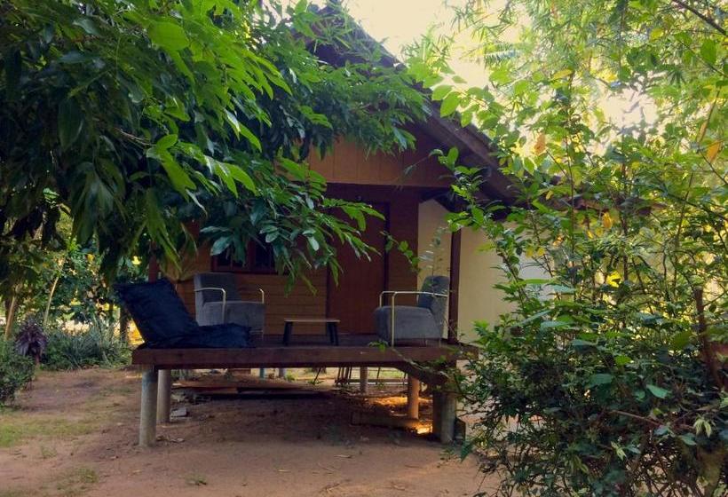 ユースホステル The Wild Side