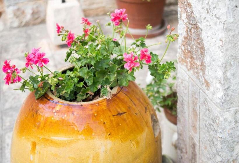 住宿加早餐  Giardino Segreto