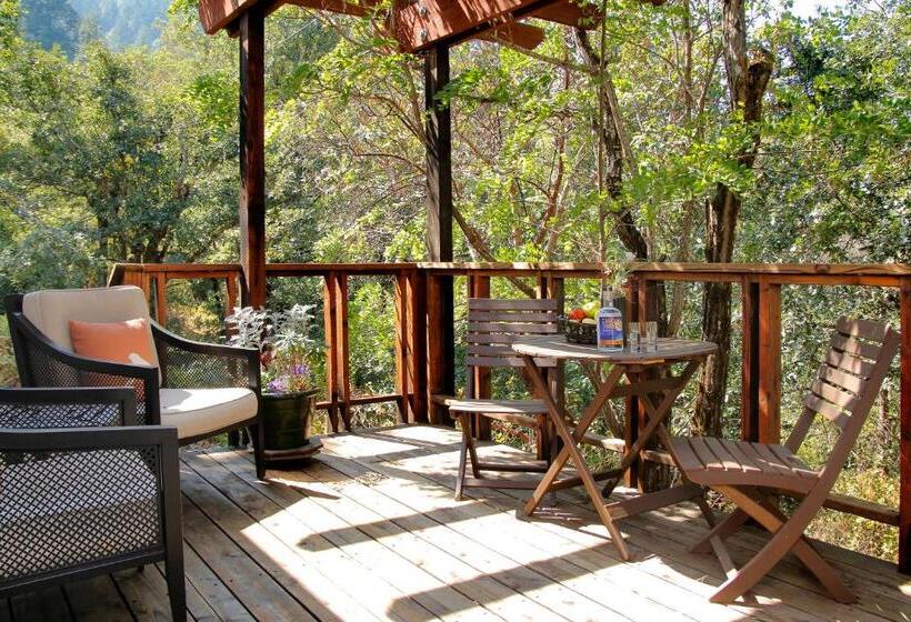 בית מלון כפרי Coho Cottages