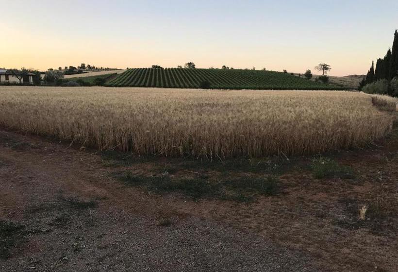 فندق Il Casale Degli Olivi