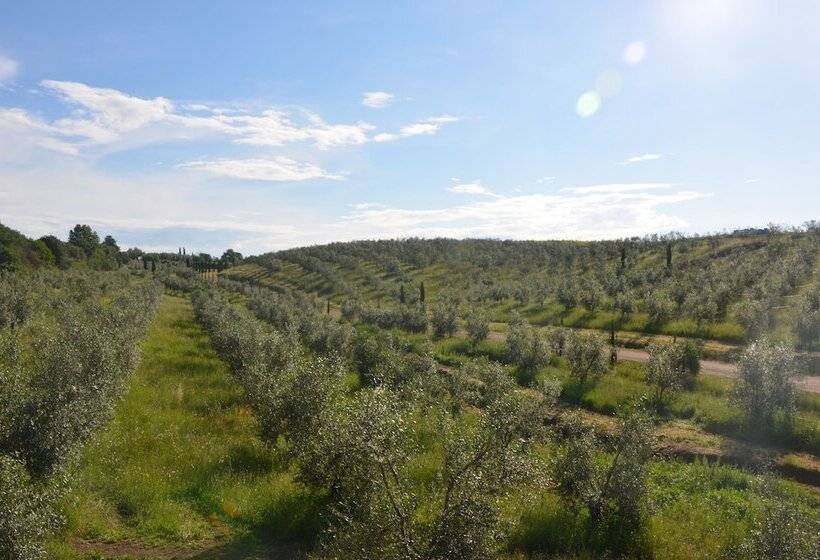בית מלון כפרי Il Podere Di Marfisa