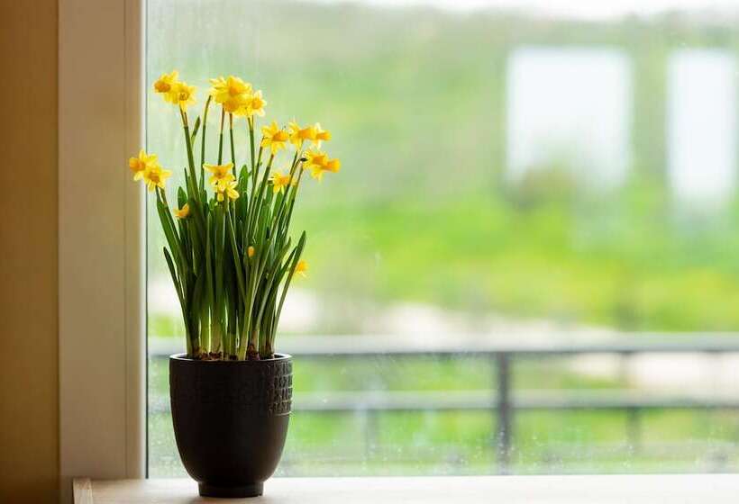 בית מלון כפרי Il Podere Di Marfisa