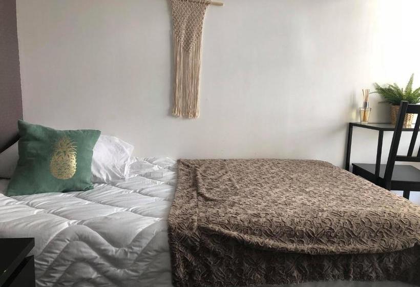 Отель Hôtel Des Beaux Arts