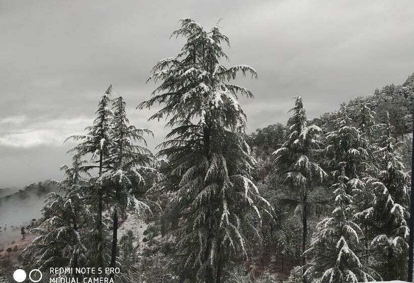 Mountain View Resort