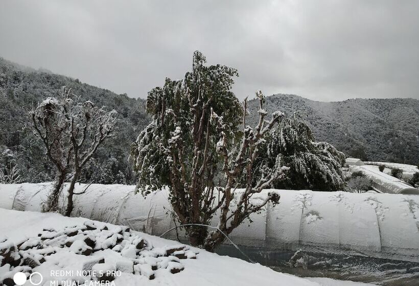 Mountain View Resort