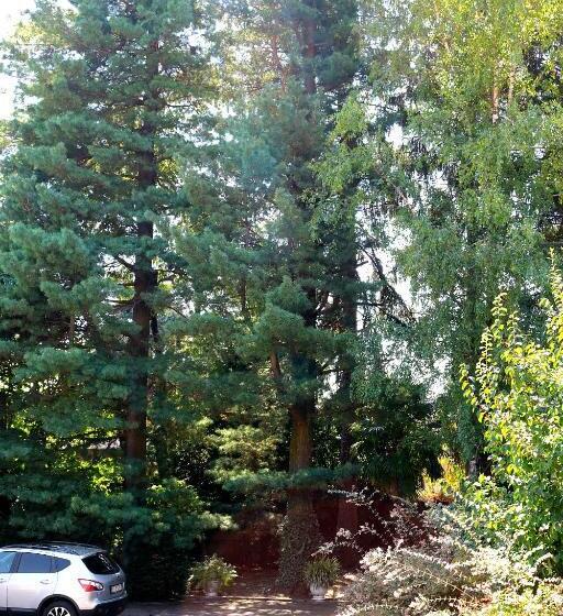 Paradeisos Residence Sas