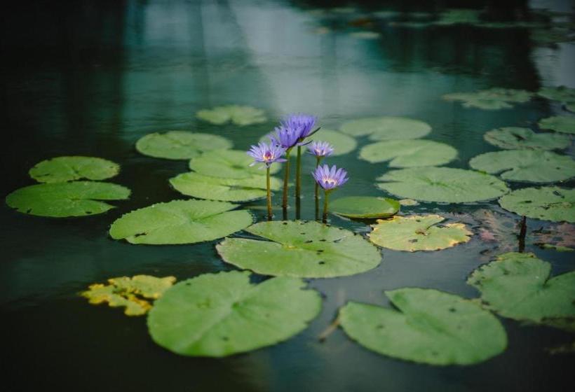 펜션 3 Hills County Resort Wayanad