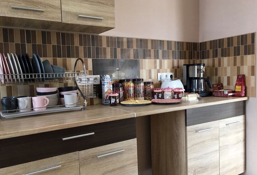 پانسیون Element