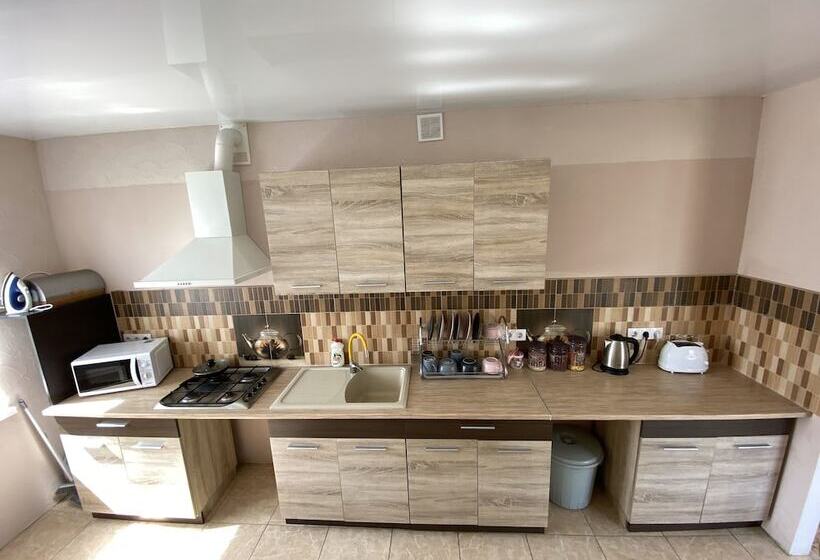 پانسیون Element