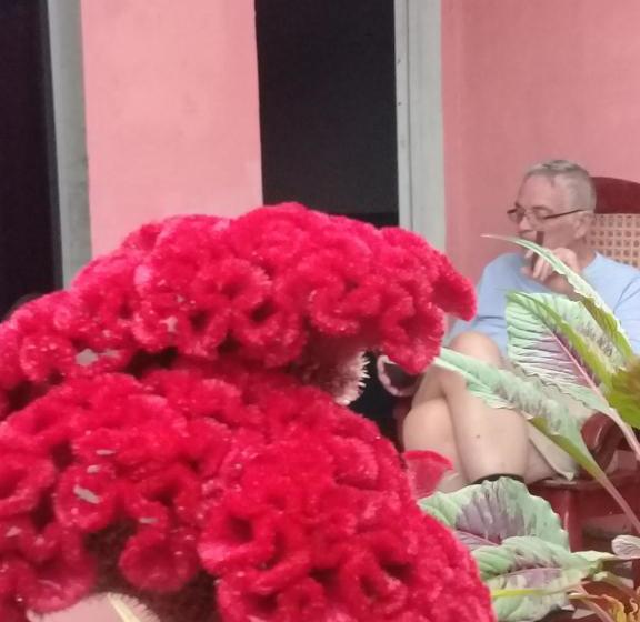 ペンション Guest House Nena