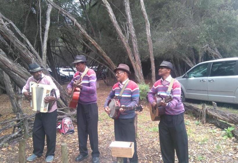 بنسيون Haven On Hoopoe