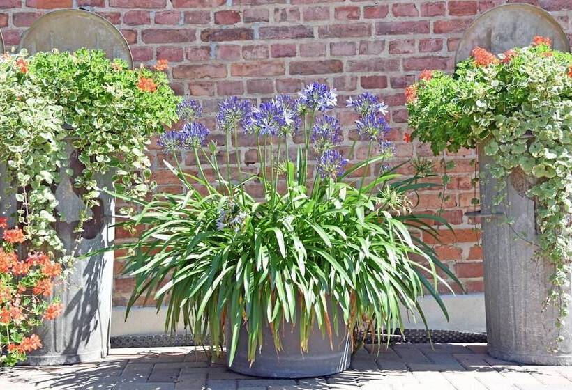 פנסיון Julias Havelherberge