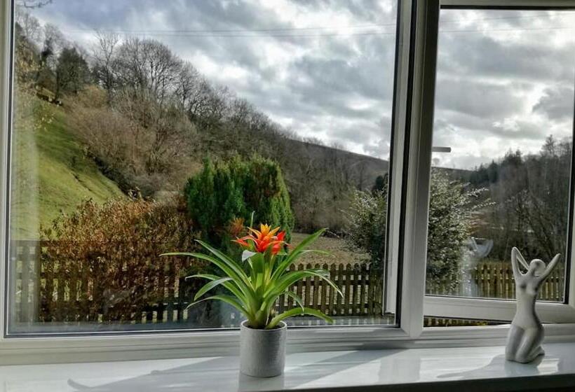 膳宿费 Neuadd Wen Guest House