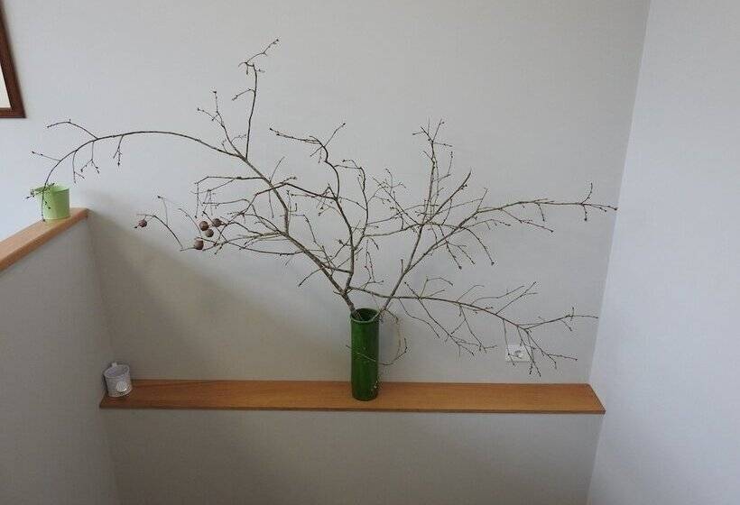 Albergue Buen Camino Tui