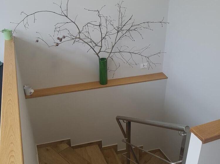 Albergue Buen Camino Tui