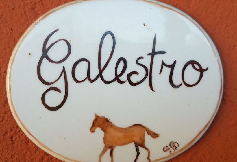 B&b La Cascina Di Monia E Mario