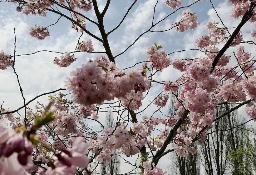 Bed and Breakfast Les Prémontrés