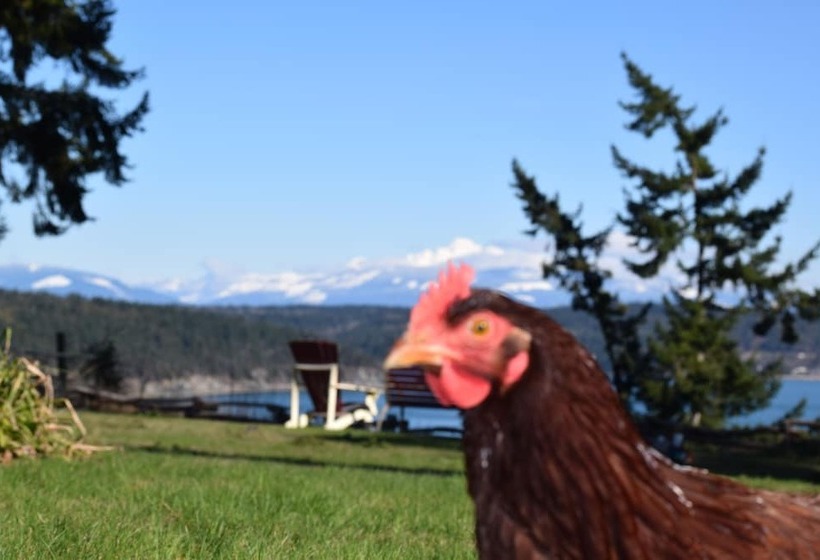 مبيت وإفطار The Bluff On Whidbey